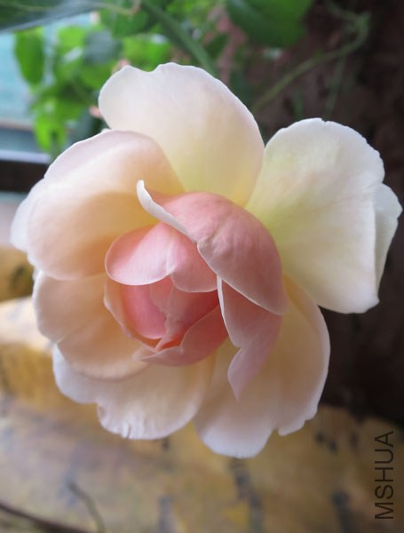 20140714_100401.jpg