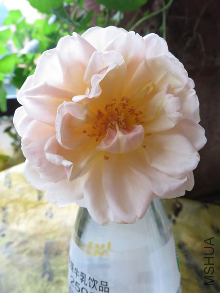 20140715_095113.jpg