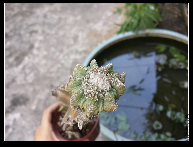 �ϻ�����Ҫ���ĸо�