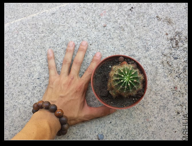 ��5mm��ʼ�ֵİ׻�����