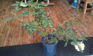 QQͼƬ20140716094430.jpg