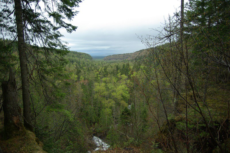 �ͱ��ϵĽ����