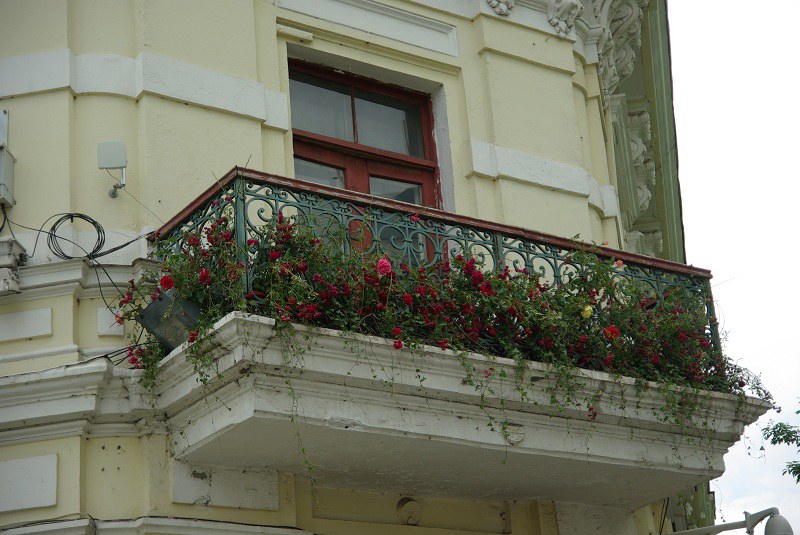 �൱���ио�