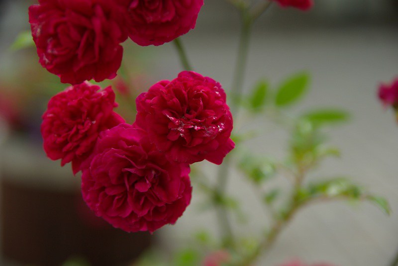 ��ͷ���¼�