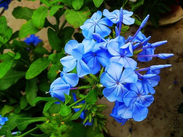 DSC_0134.jpg