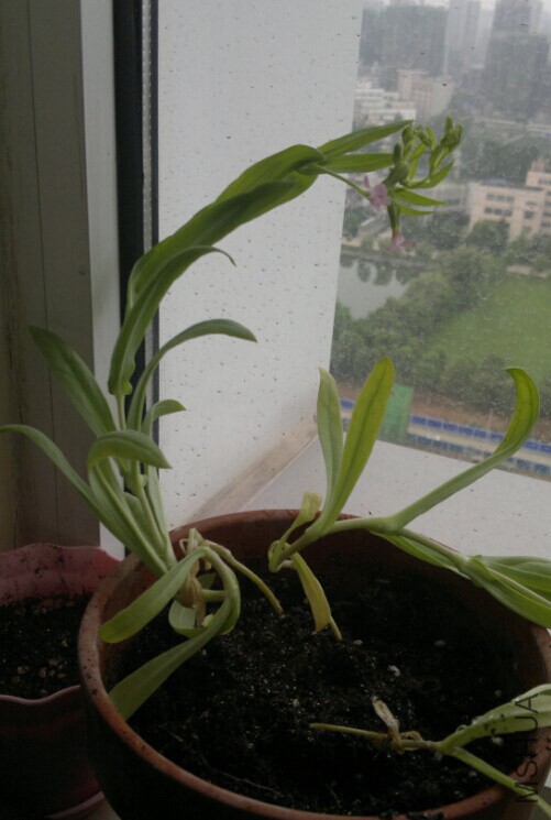 QQͼƬ20140716152748.jpg