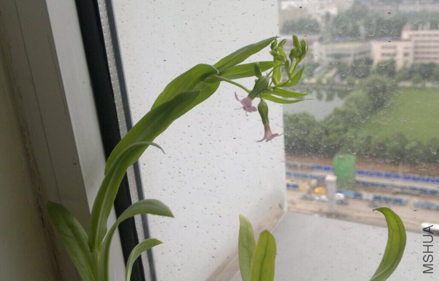 QQͼƬ20140716152757.jpg