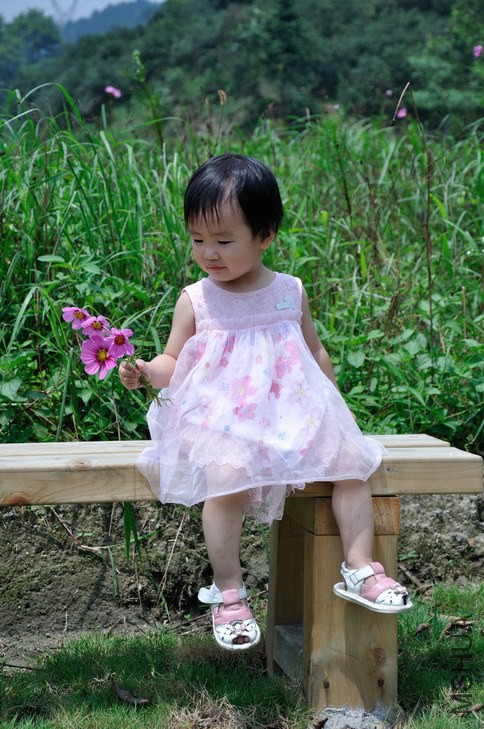 û�����ƻ���Ҳ��С��