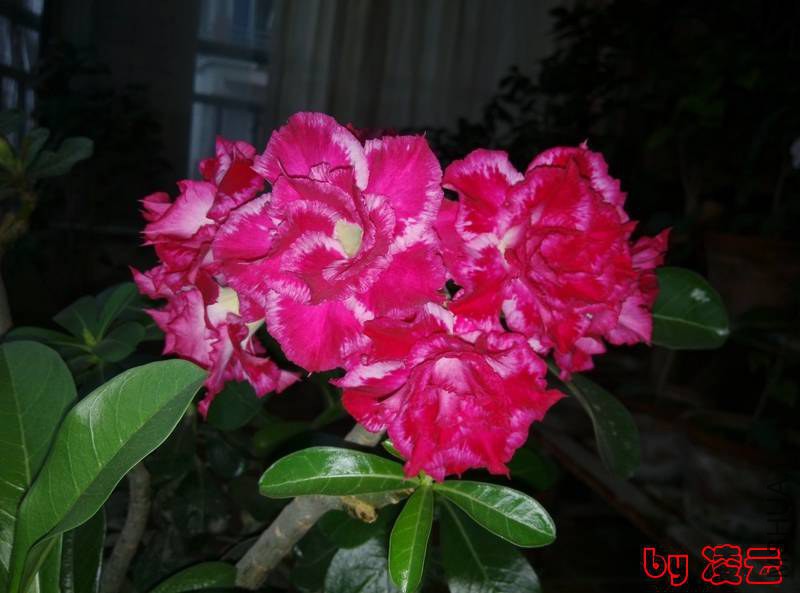 IMG_20140616_060822.jpg