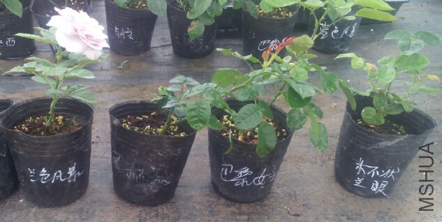 QQ��ͼ20140718091401.jpg