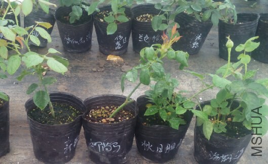 QQ��ͼ20140718091455.jpg