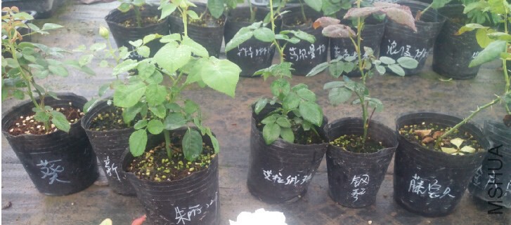 QQ��ͼ20140718091650.jpg