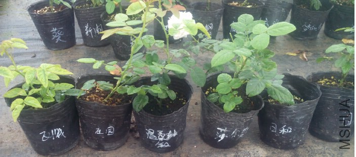 QQ��ͼ20140718091708.jpg