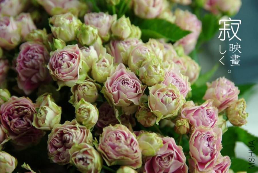 QQ��ͼ20140718120357.jpg