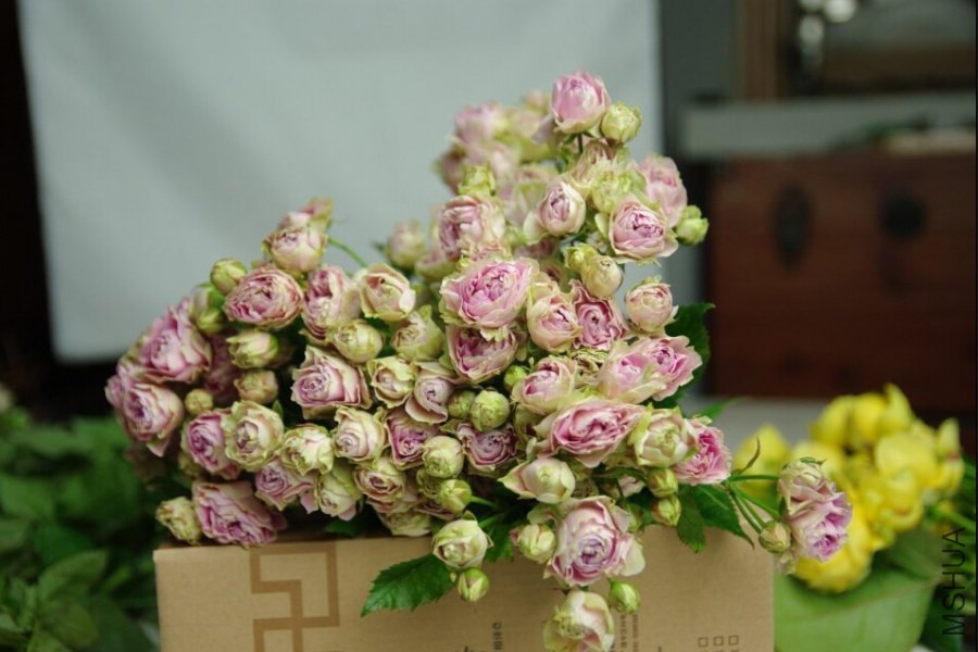 QQ��ͼ20140718120330.jpg