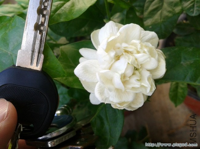 2014-07-18 07.35.32.jpg