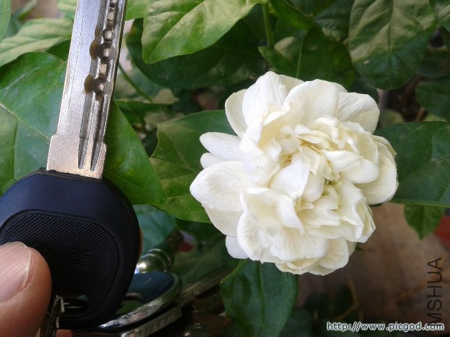 2014-07-18 07.35.35.jpg