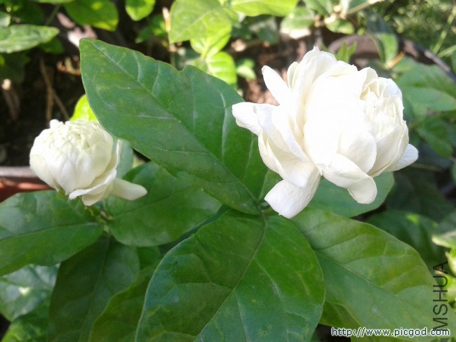 2014-07-18 07.36.26.jpg