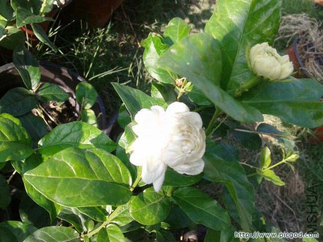 2014-07-18 07.36.35.jpg