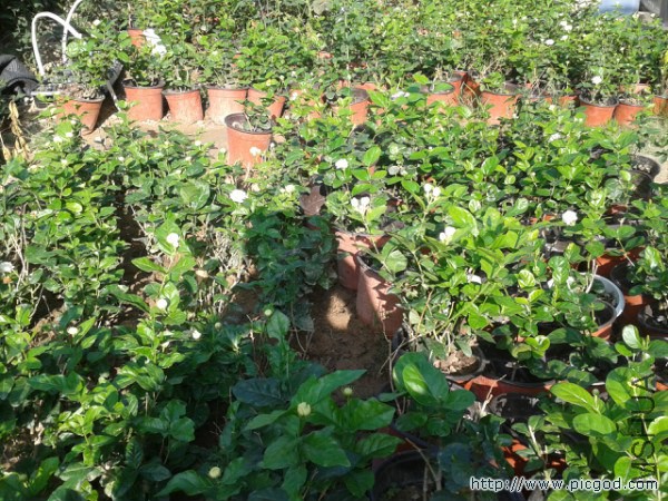 2014-07-18 07.37.02.jpg