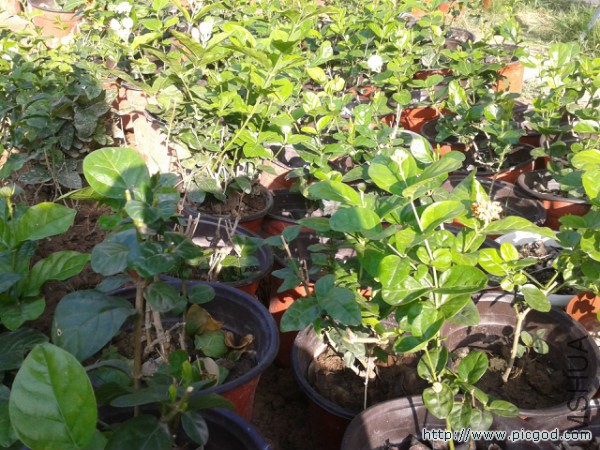 2014-07-18 07.37.17.jpg