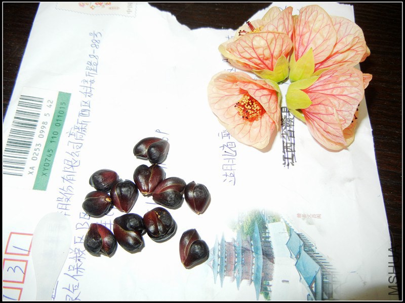 DSCN5414.jpg
