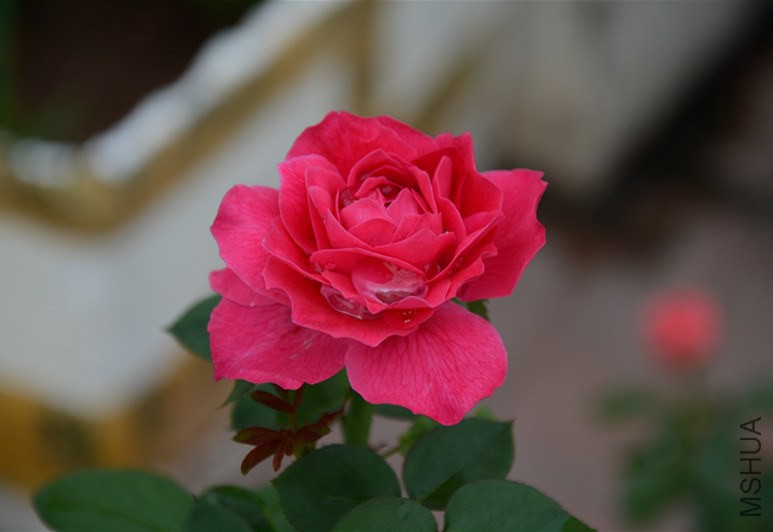 DSC_1734_����.jpg