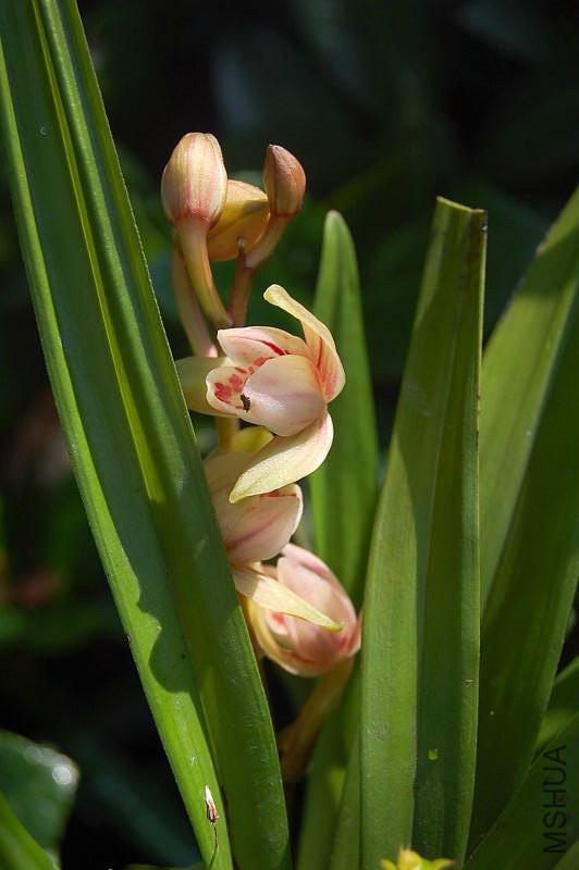DSC_00040004.JPG