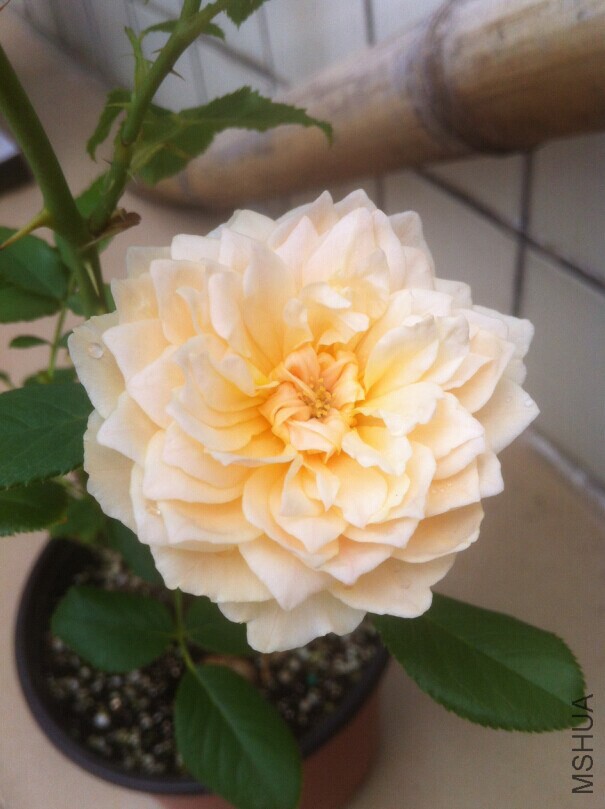 QQͼƬ20140720213145.jpg
