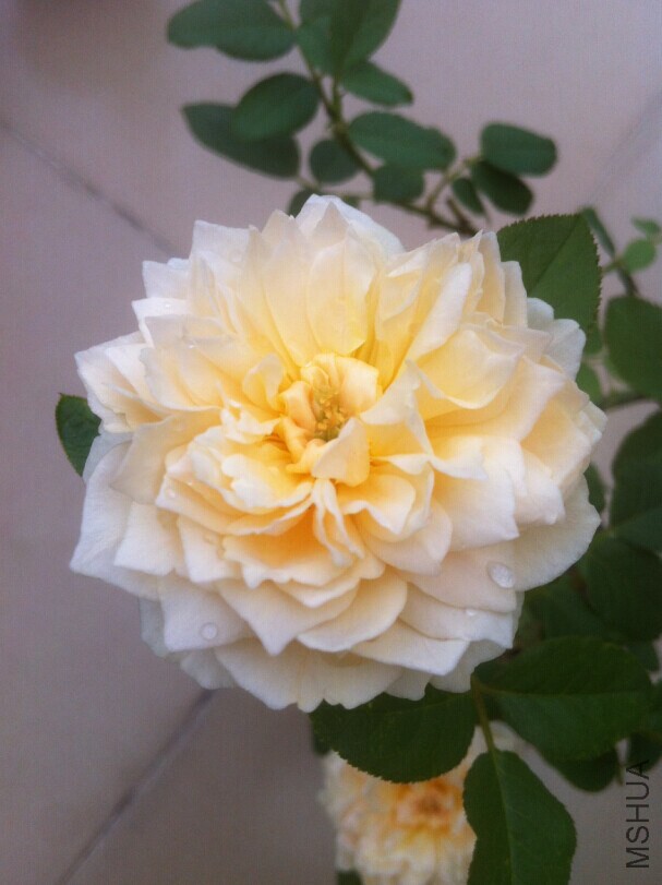 QQͼƬ20140720213117.jpg