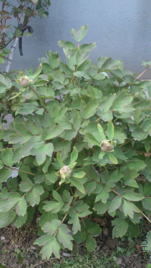 �������ŵ�ʱ��