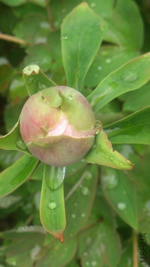 �������ŵ�ʱ��