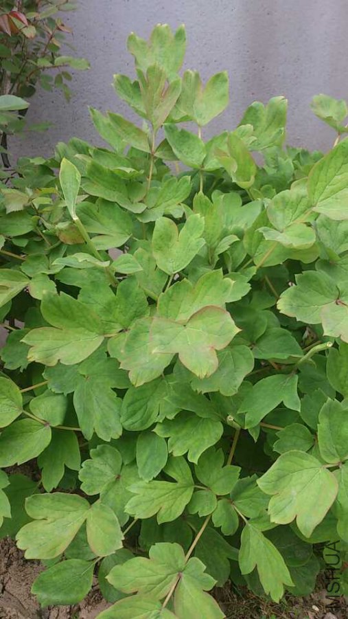 ���¶���֮��