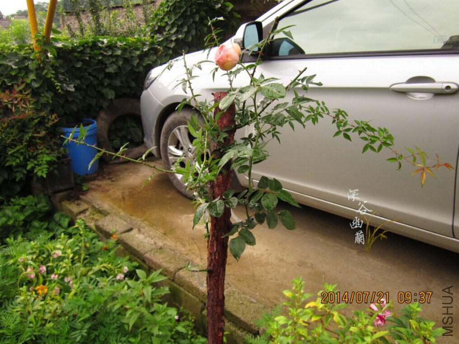 QQͼƬ20080812000715.jpg