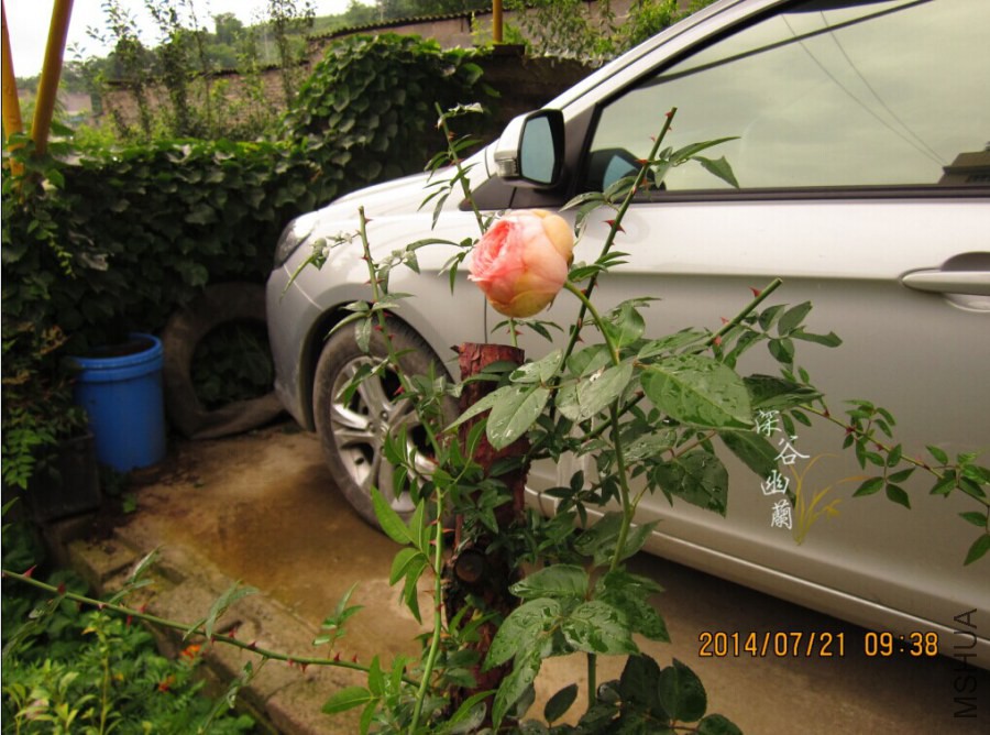 QQͼƬ20080812000719.jpg