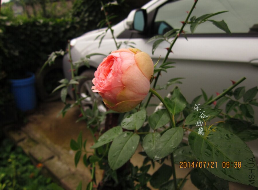 QQͼƬ20080812000721.jpg