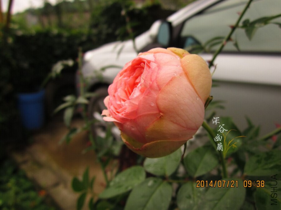 QQͼƬ20080812000725.jpg