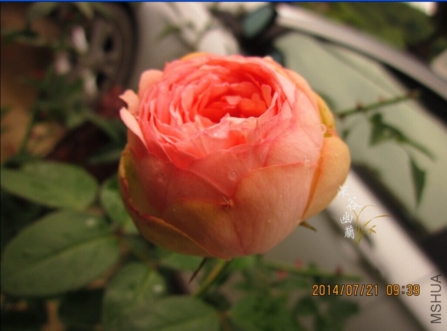 QQͼƬ20080812000736.jpg