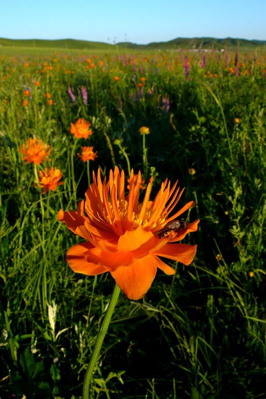 34_1514700432_20101220150619 (1).jpg