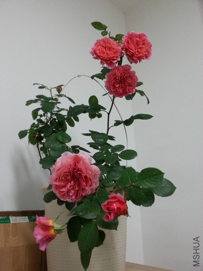 20140504_204224_Android_����.jpg