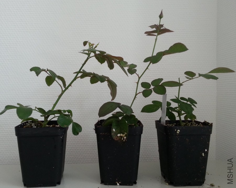 20140721_122622_Android_����.jpg