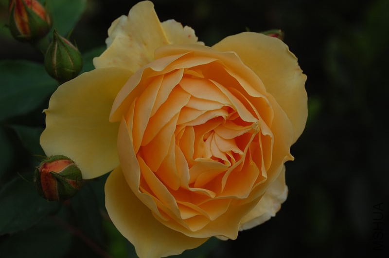 DSC_00220022.JPG
