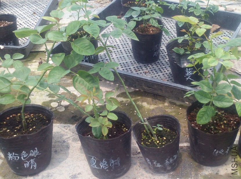 QQ��ͼ20140720222736.jpg