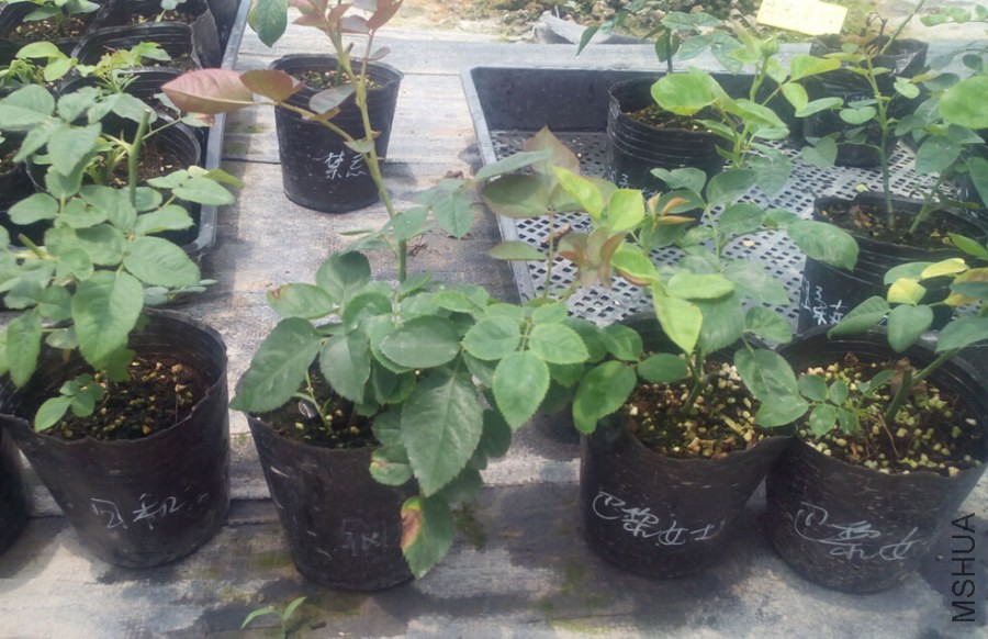 QQ��ͼ20140720222640.jpg