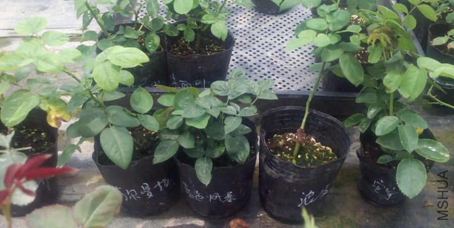 QQ��ͼ20140720222713.jpg