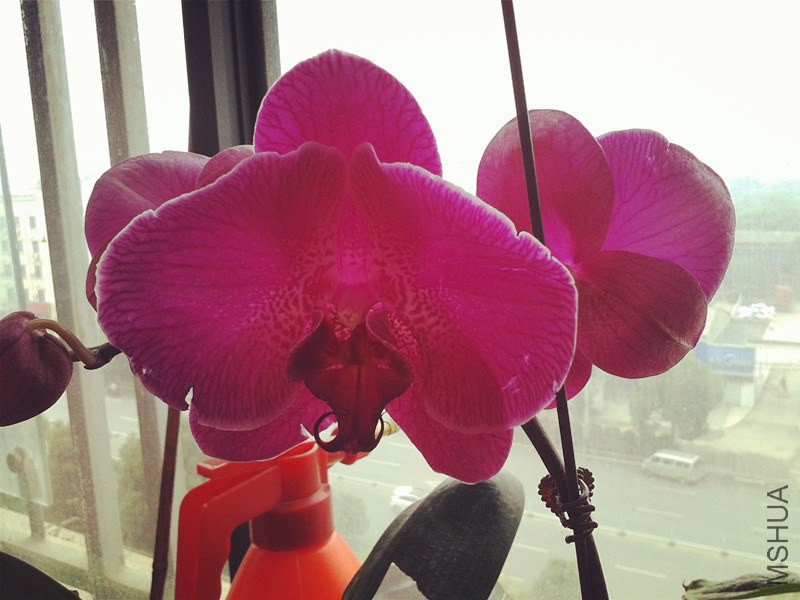 20140707_083820_����.jpg