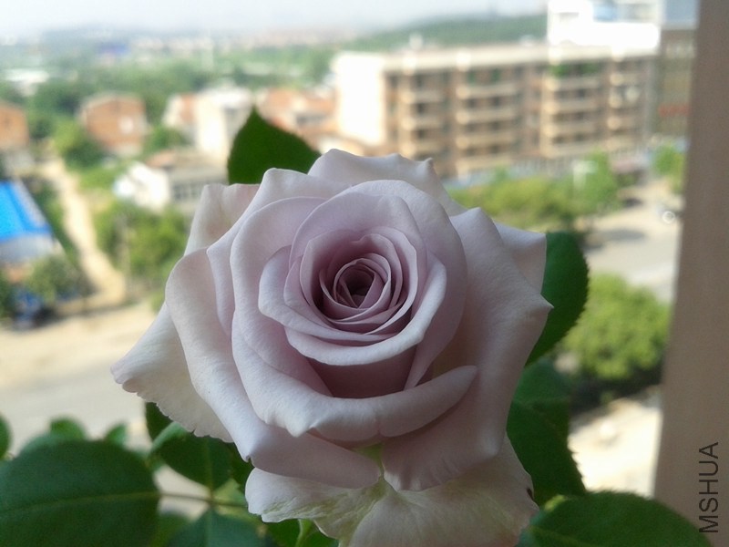 20140721_085829_����.jpg