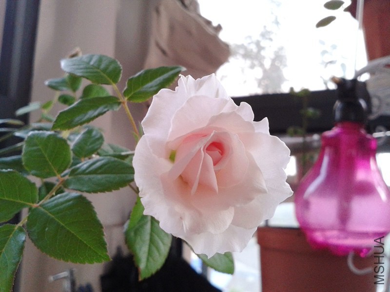 20140720_190222_����.jpg