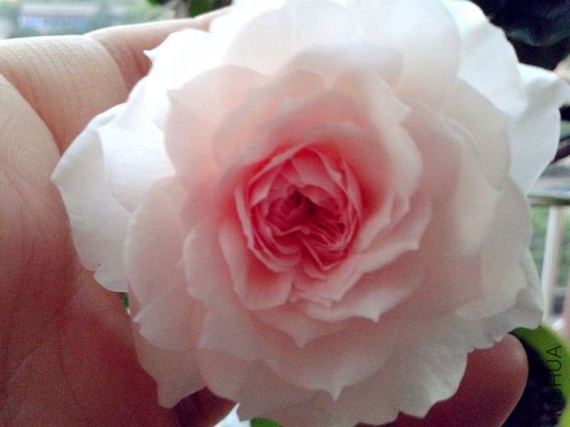 20140721_192800_����.jpg