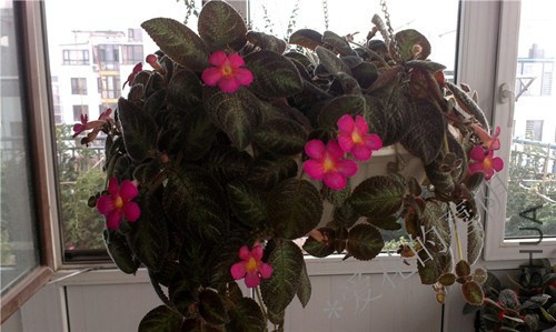 IMAG1029_����.jpg